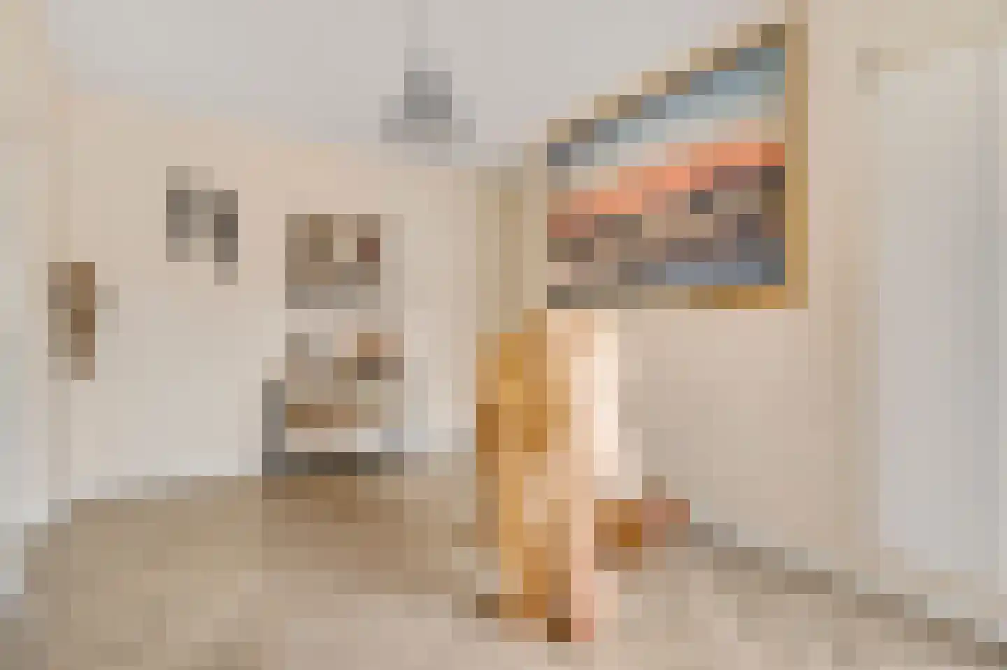Mgr Verstraelenstraat 12 Sevenum thumbnail 22