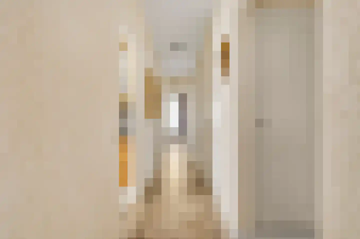 Mgr Verstraelenstraat 12 Sevenum thumbnail 24