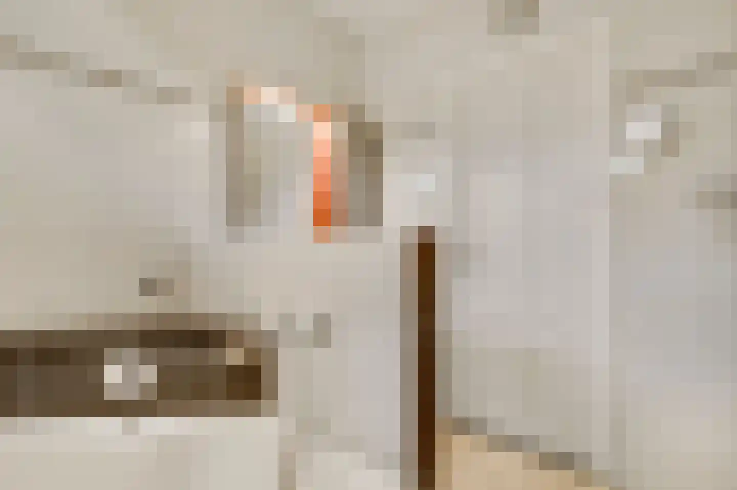 Mgr Verstraelenstraat 12 Sevenum thumbnail 37