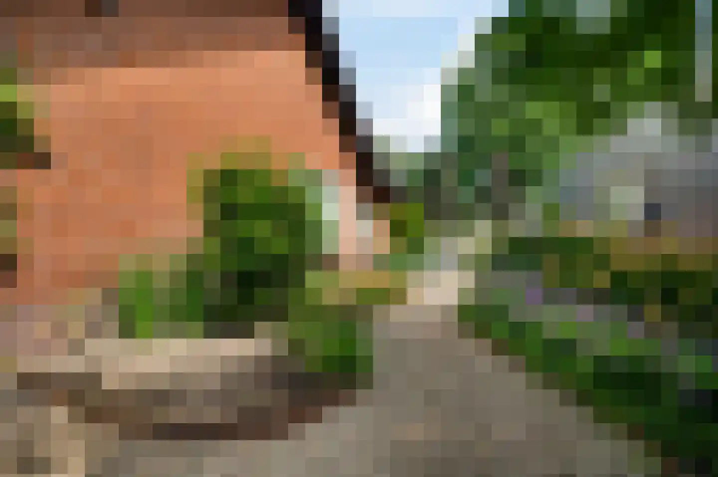 Mgr Verstraelenstraat 12 Sevenum thumbnail 59