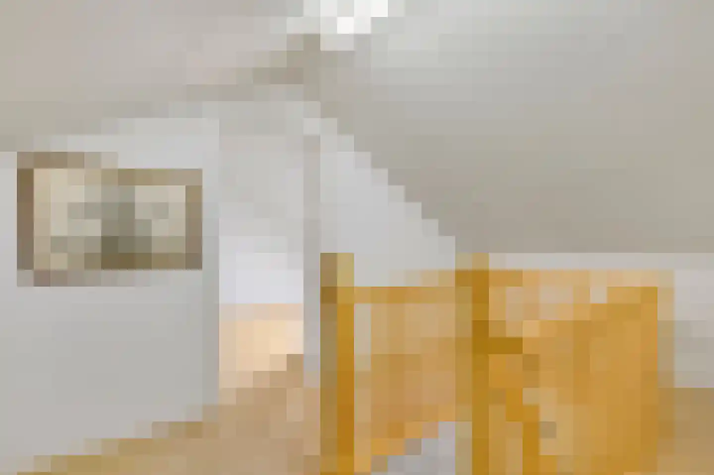 Mgr Verstraelenstraat 12 Sevenum thumbnail 62