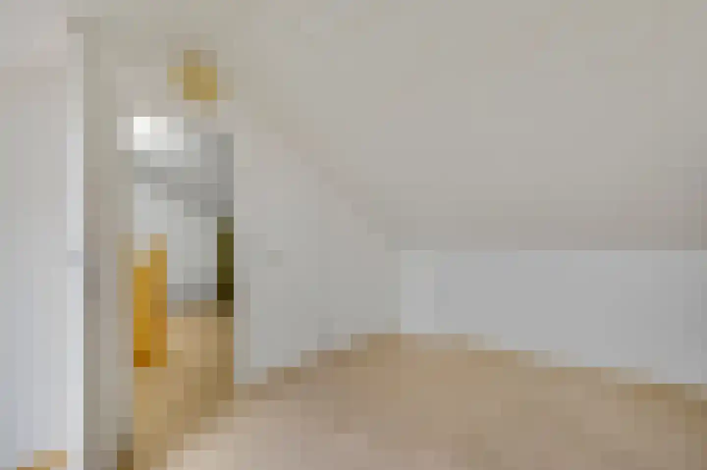 Mgr Verstraelenstraat 12 Sevenum thumbnail 63