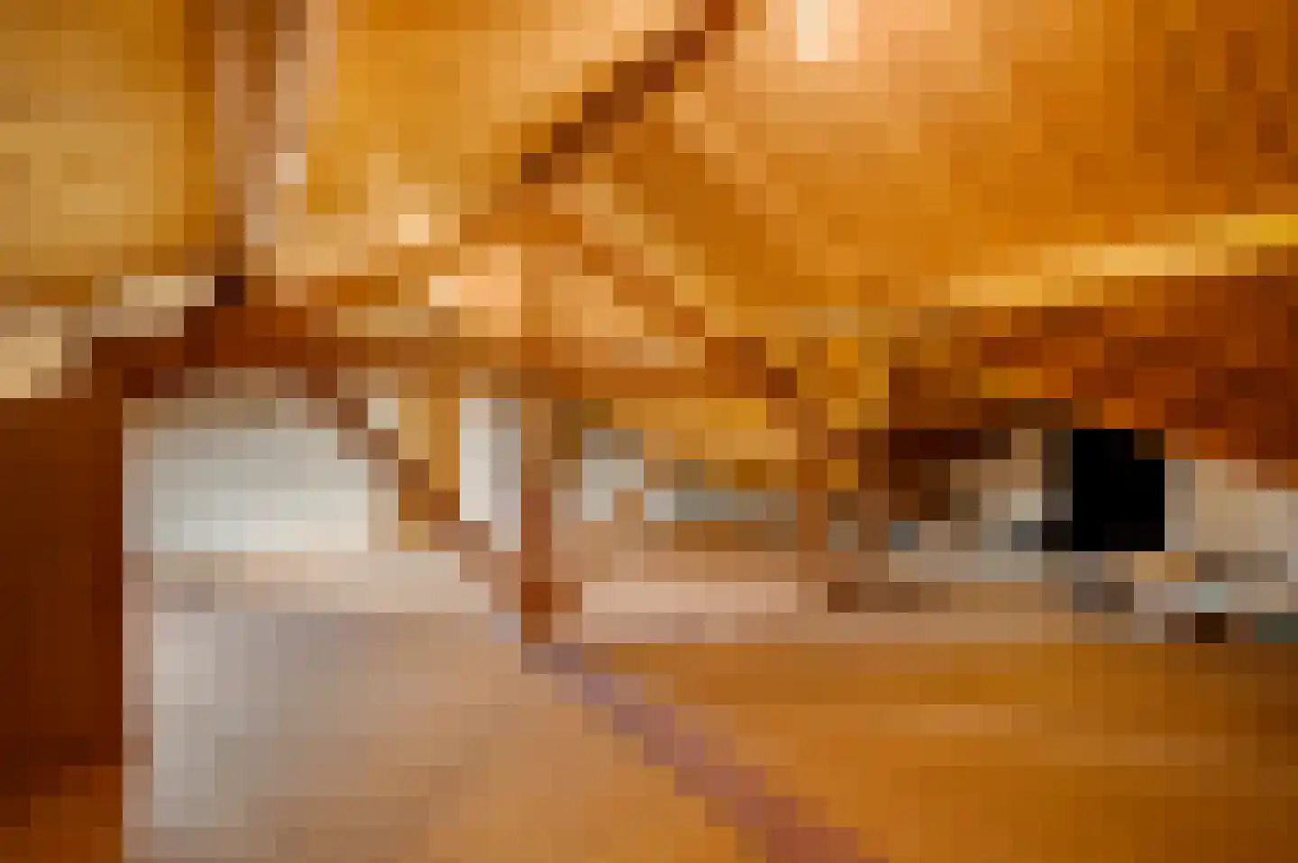 Mgr Verstraelenstraat 12 Sevenum thumbnail 67