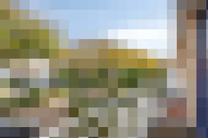 Mgr Westerwoudtlaan 15 Noordwijkerhout thumbnail 23