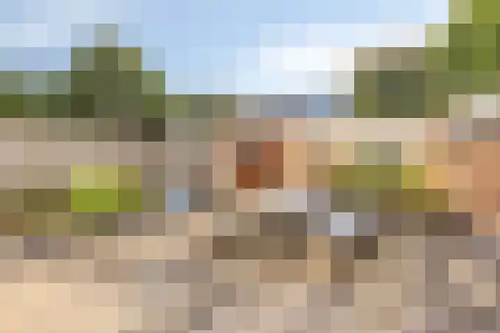 Mgr Westerwoudtlaan 15 Noordwijkerhout thumbnail 31