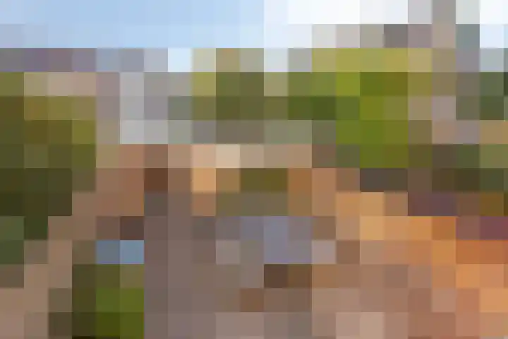 Mgr Westerwoudtlaan 15 Noordwijkerhout thumbnail 32