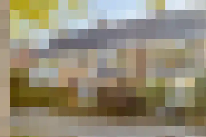 Mgr Westerwoudtlaan 15 Noordwijkerhout thumbnail 35