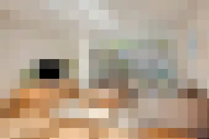 Mgr Westerwoudtlaan 15 Noordwijkerhout thumbnail 8