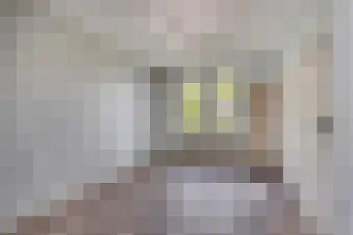 Mgr. Willigersstraat 11 Gronsveld thumbnail 25