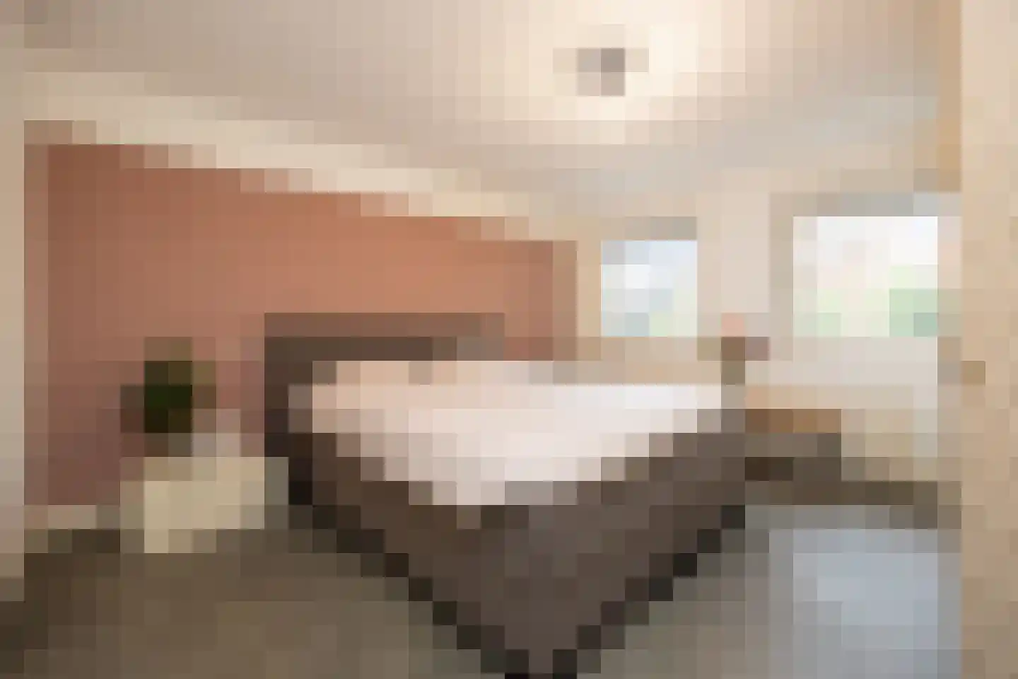 Mgr.Wilmerstraat 1 Boxtel thumbnail 32