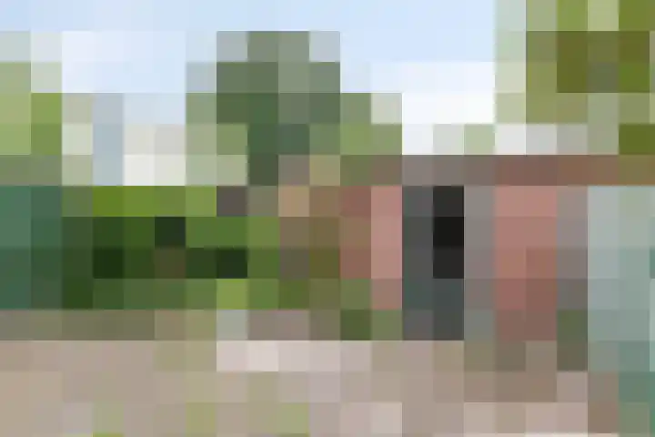 Mgr. Zwijsenstraat 10 Schijndel thumbnail 21