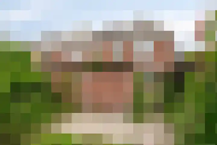 Mgr. Zwijsenstraat 10 Schijndel thumbnail 4