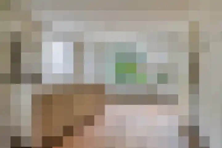 Mgr. Zwijsenstraat 10 Schijndel thumbnail 8