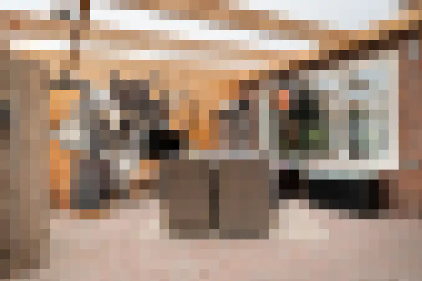 Mgr. Zwijsenstraat 16 Schijndel thumbnail 4
