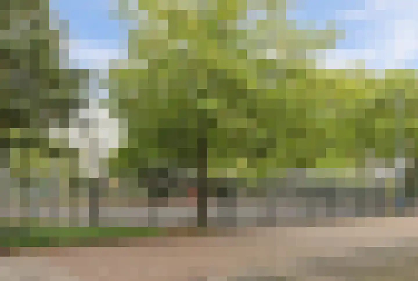 Mgr. Zwijsenstraat 19 Valkenswaard thumbnail 39