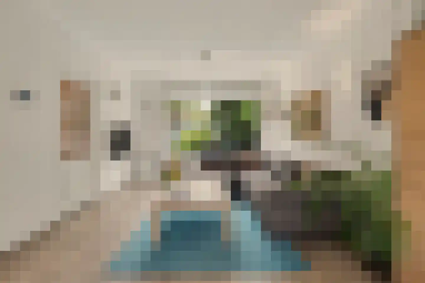 Mgr. Zwijsenstraat 19 Valkenswaard thumbnail 6