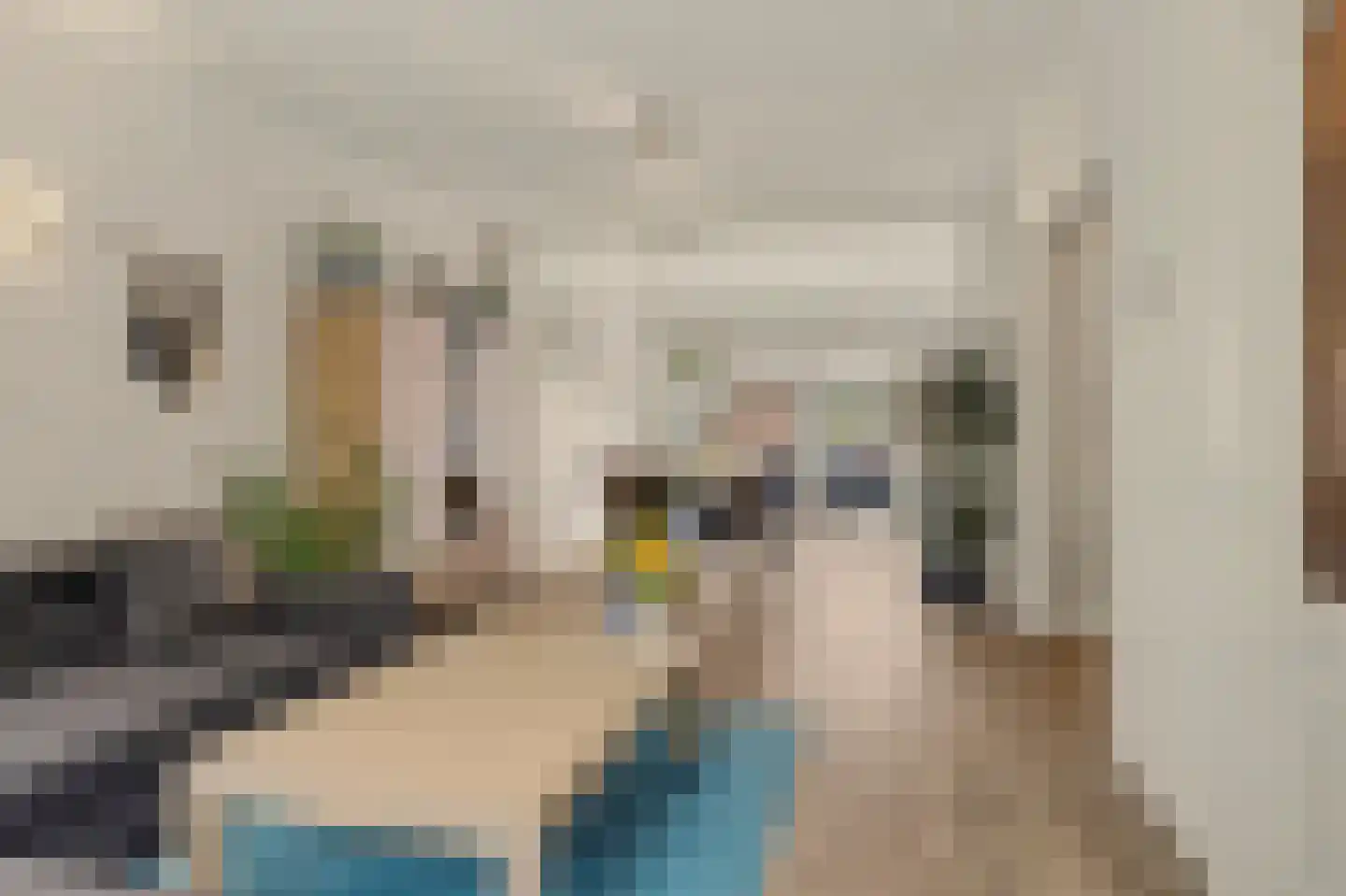 Mgr. Zwijsenstraat 19 Valkenswaard thumbnail 7