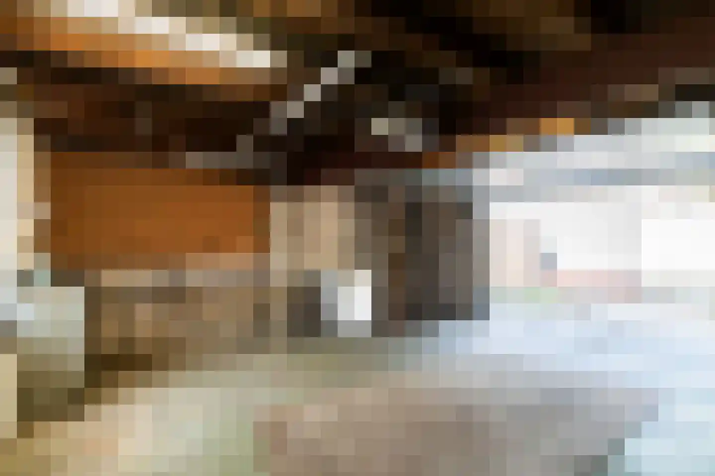 Mgr. Zwijsenstraat 20 Schijndel thumbnail 43
