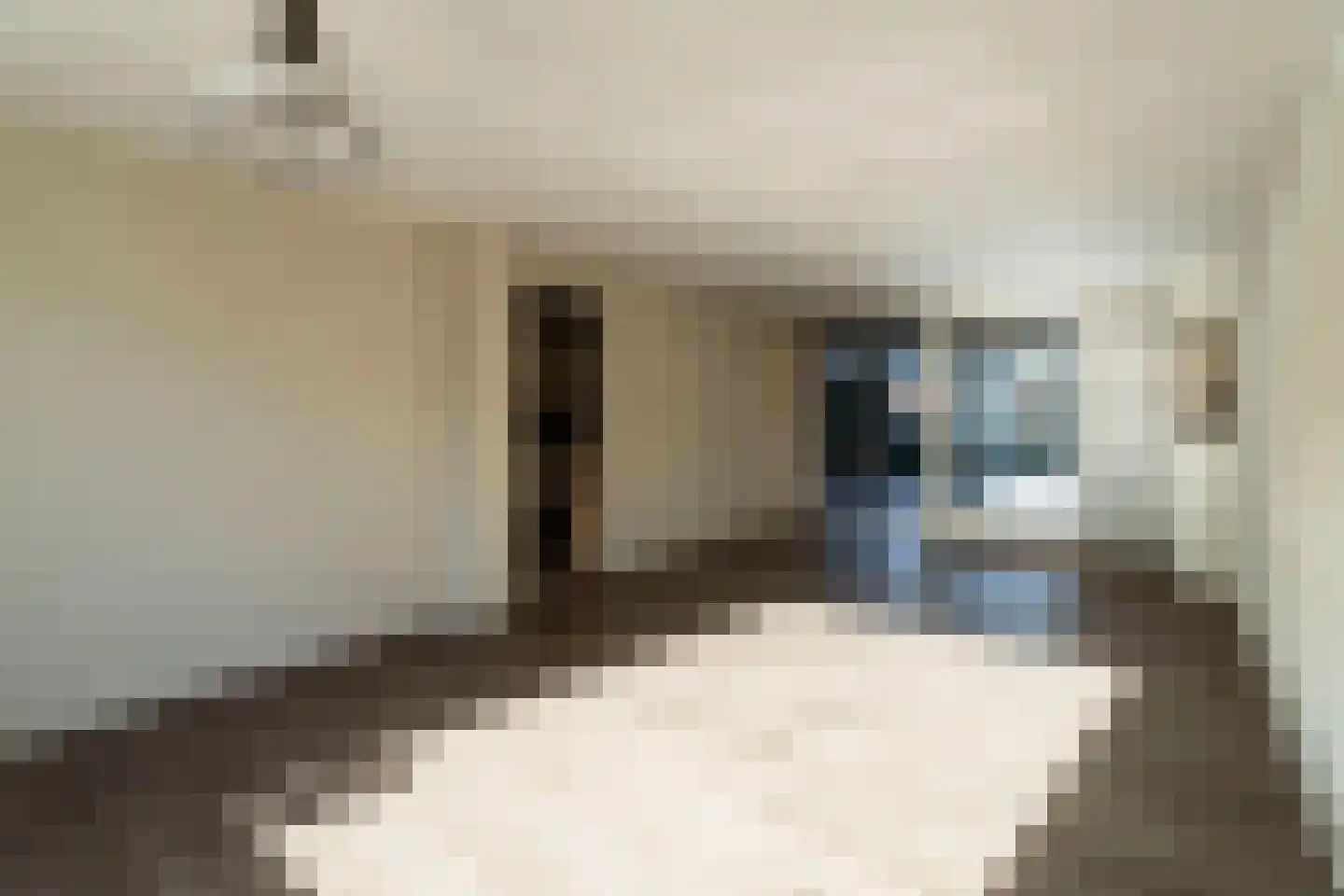 Mgr. Zwijsenstraat 20 Schijndel thumbnail 6
