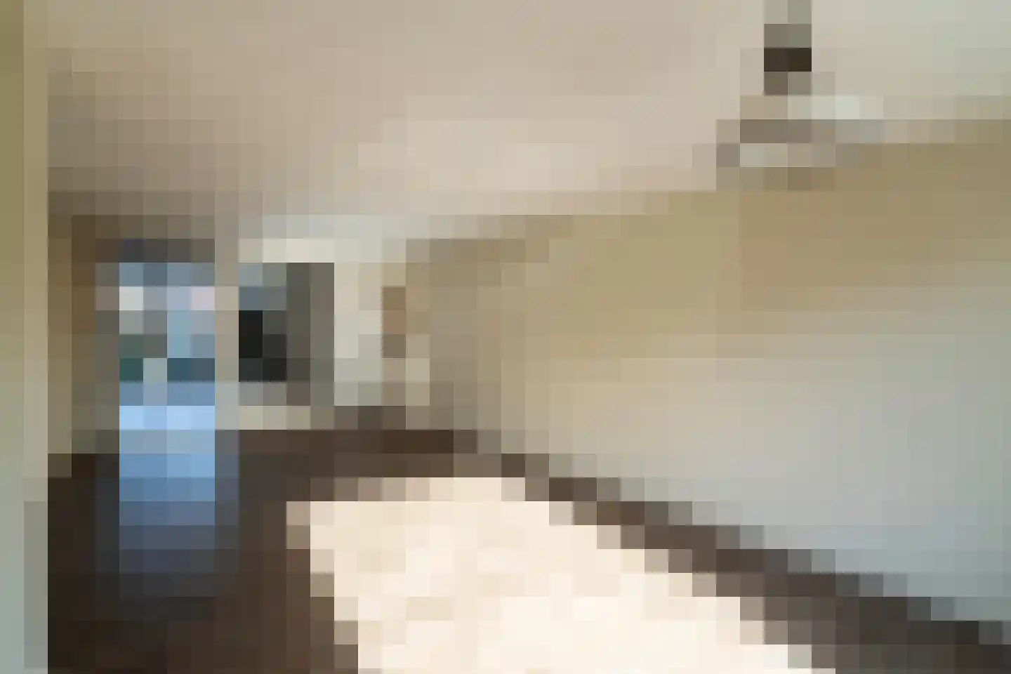Mgr. Zwijsenstraat 20 Schijndel thumbnail 7