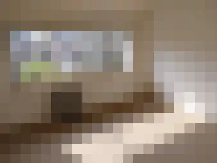 Mgr Zwijsenstraat 25 Eindhoven thumbnail 4