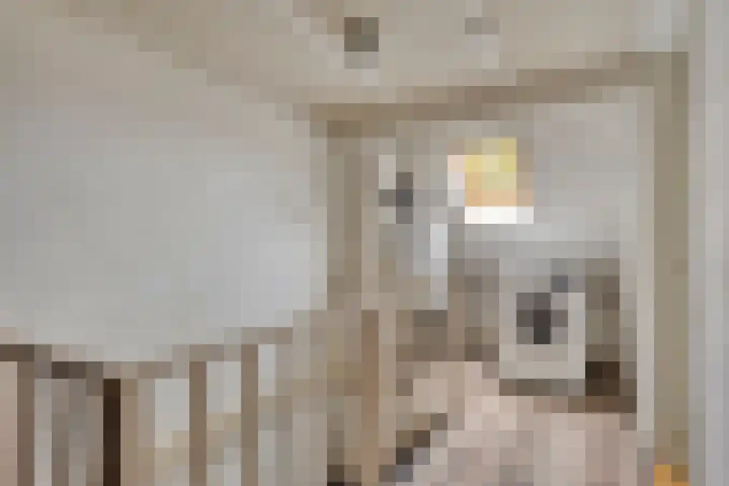 Mgr. Zwijsenstraat 4 Waalwijk thumbnail 21