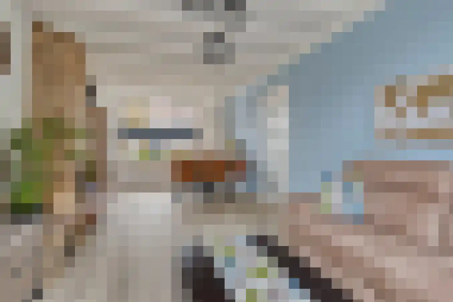 Mgr. Zwijsenstraat 4 Waalwijk thumbnail 4