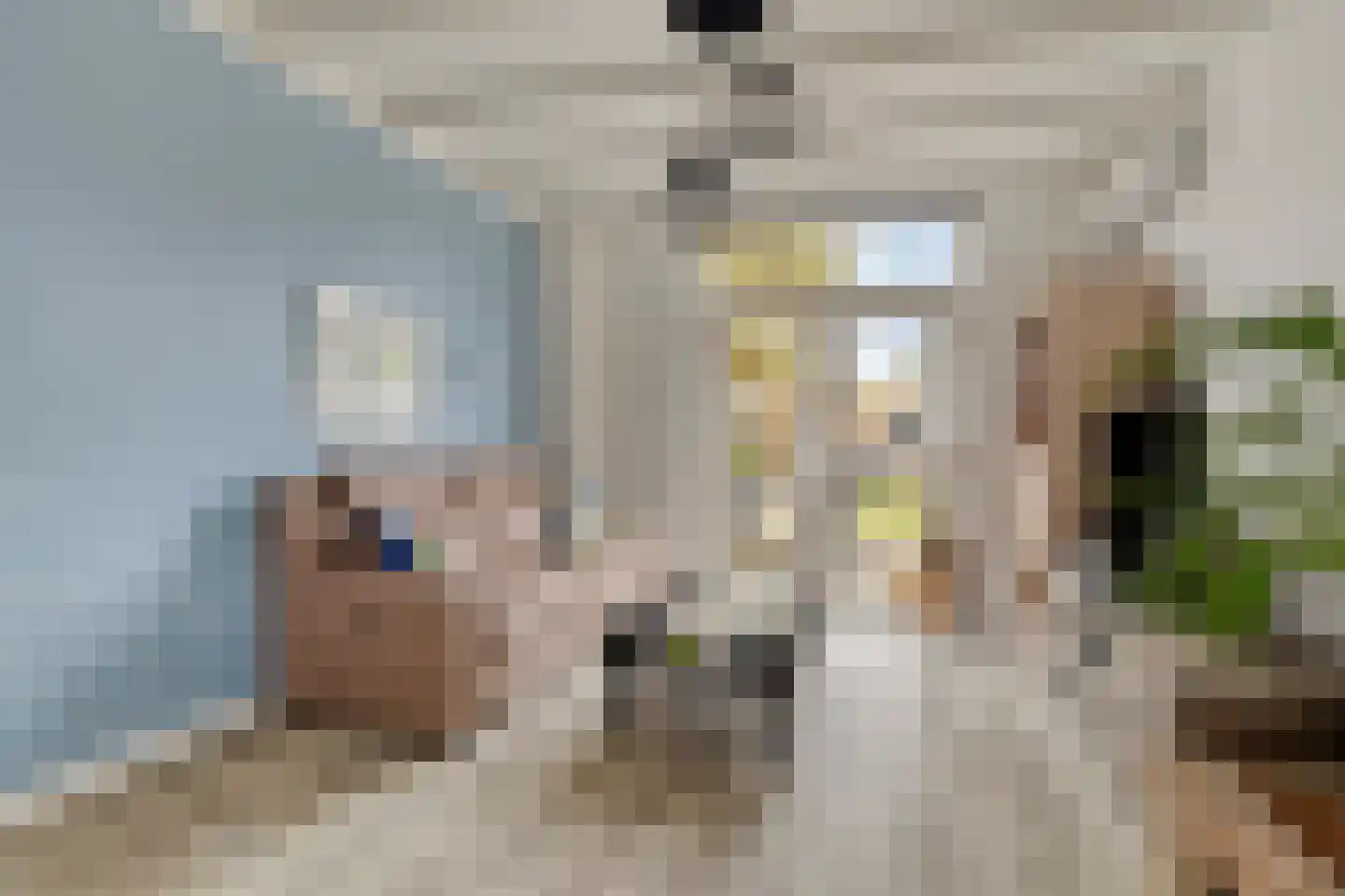 Mgr. Zwijsenstraat 4 Waalwijk thumbnail 5