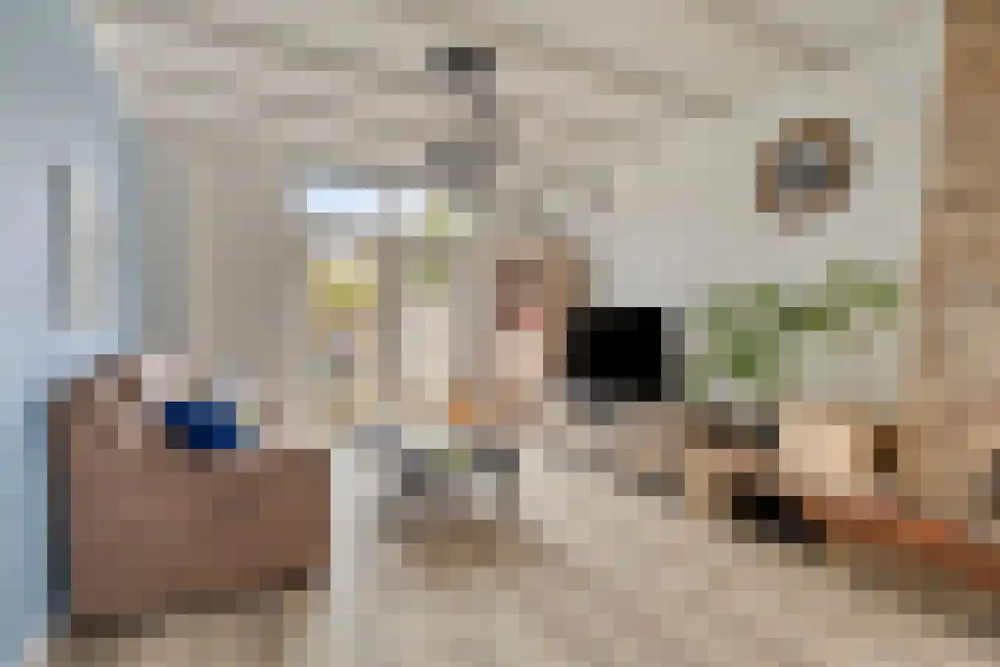 Mgr. Zwijsenstraat 4 Waalwijk thumbnail 6