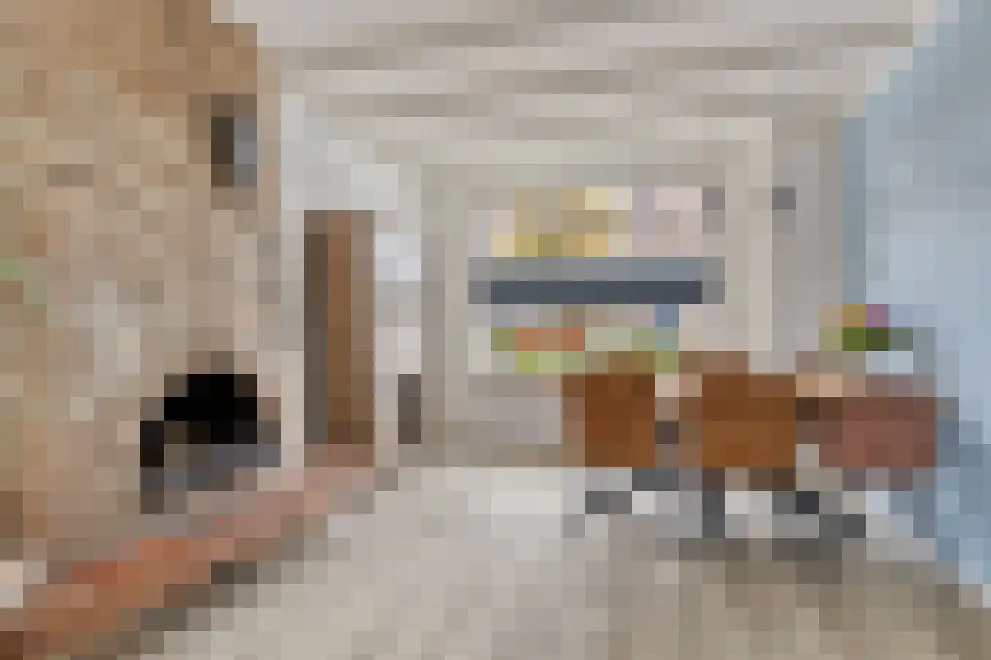 Mgr. Zwijsenstraat 4 Waalwijk thumbnail 7
