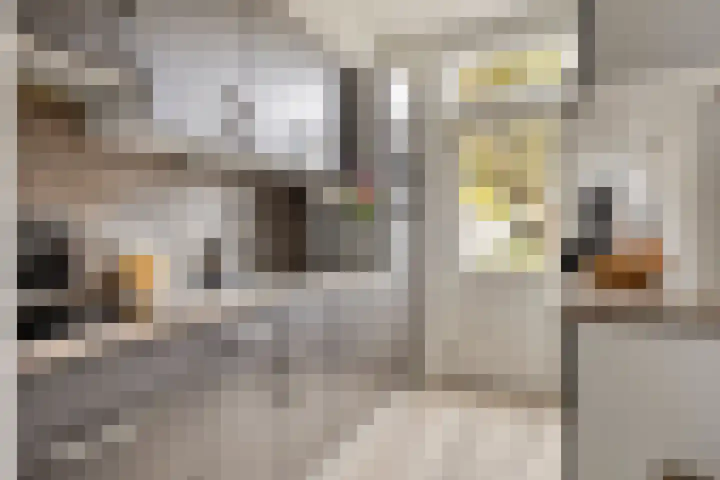 Mgr. Zwijsenstraat 4 Waalwijk thumbnail 9