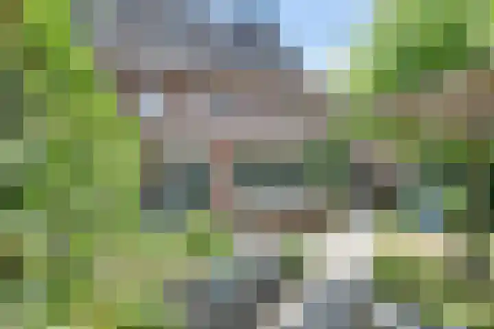 Mgr. Zwijsenstraat 6 's-Hertogenbosch thumbnail 38