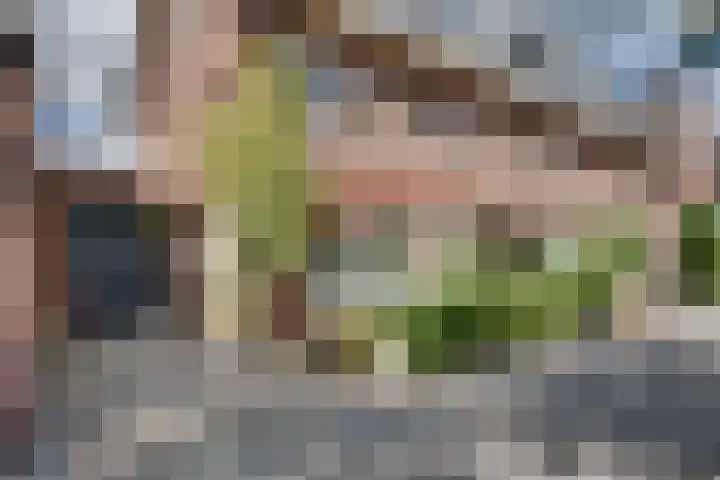 Mgr. Zwijsenstraat 6 's-Hertogenbosch thumbnail 41