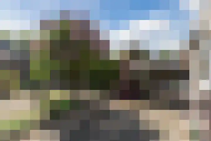 Mgr. Zwijsenstraat 66 Best thumbnail 30