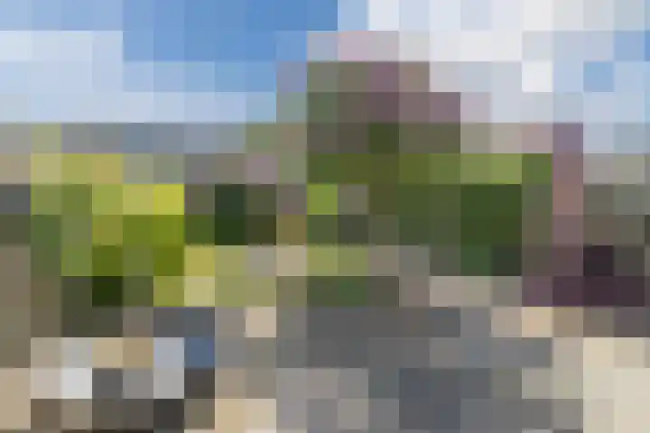 Mgr. Zwijsenstraat 66 Best thumbnail 31