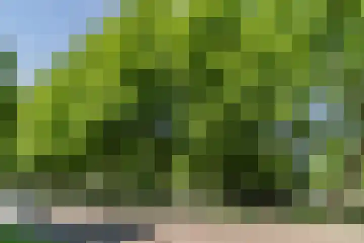 Mgr. Zwijsenstraat 66 Best thumbnail 34