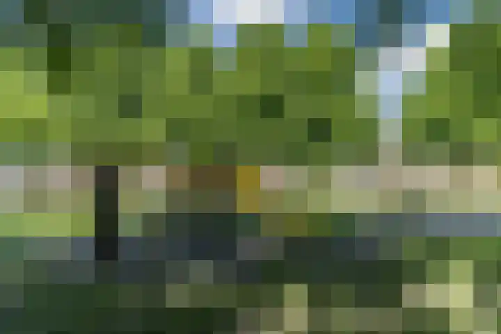 Mgr. Zwijsenstraat 66 Best thumbnail 36