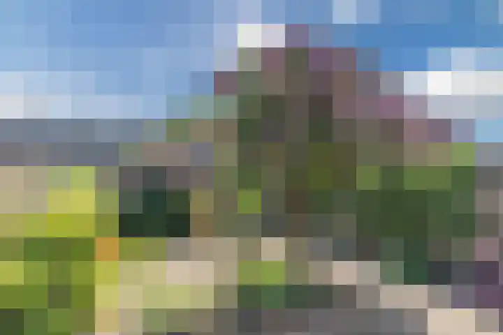 Mgr. Zwijsenstraat 66 Best thumbnail 4