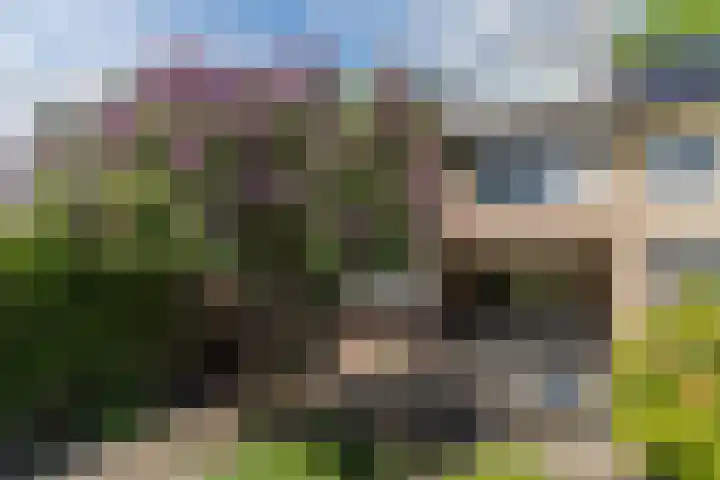 Mgr. Zwijsenstraat 66 Best thumbnail 5