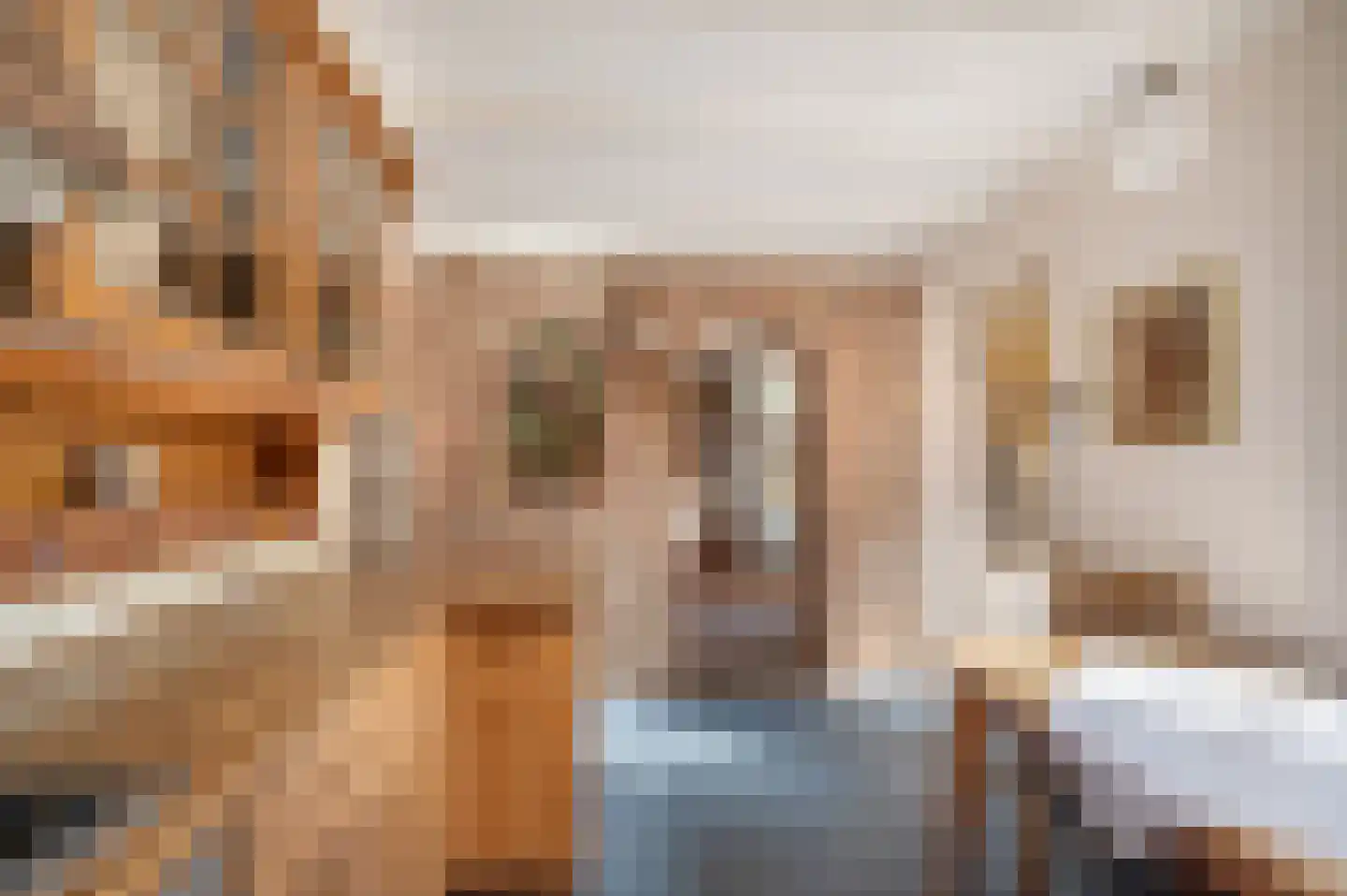 Mgr. Zwijsenstraat 7 Schijndel thumbnail 10