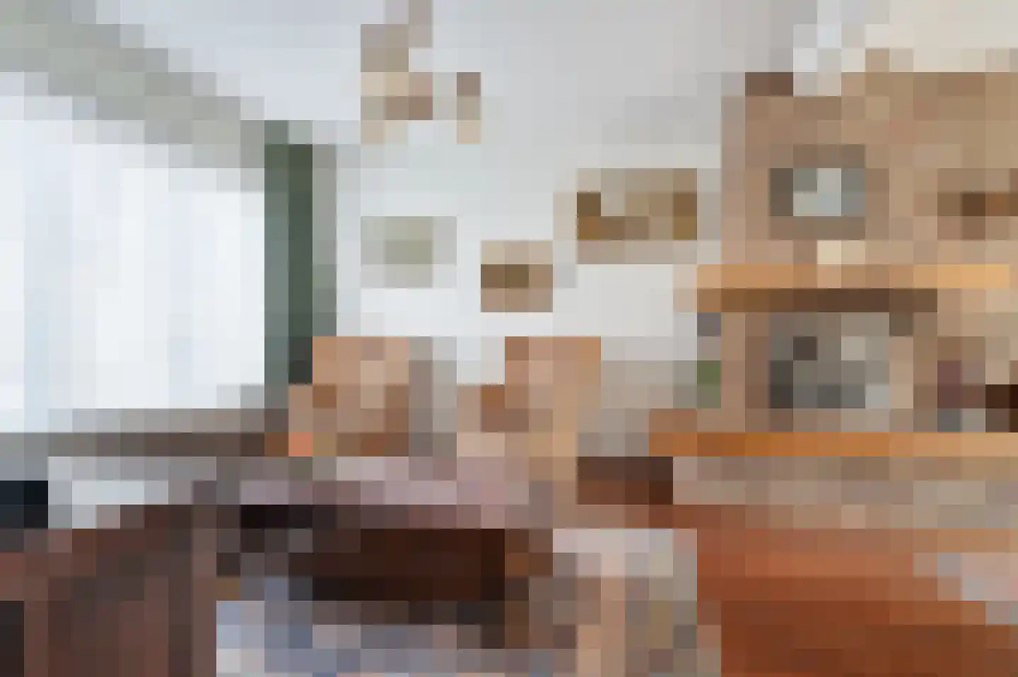 Mgr. Zwijsenstraat 7 Schijndel thumbnail 5