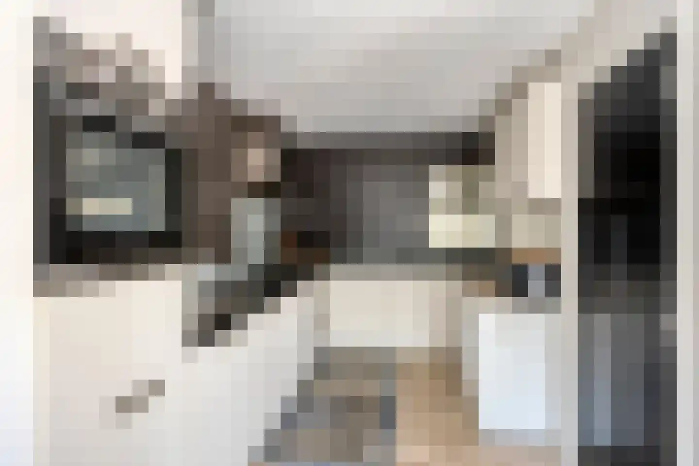 Mgr. Zwijsenstraat 76 Best thumbnail 16