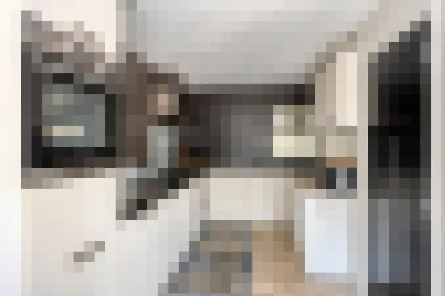 Mgr. Zwijsenstraat 76 Best thumbnail 4