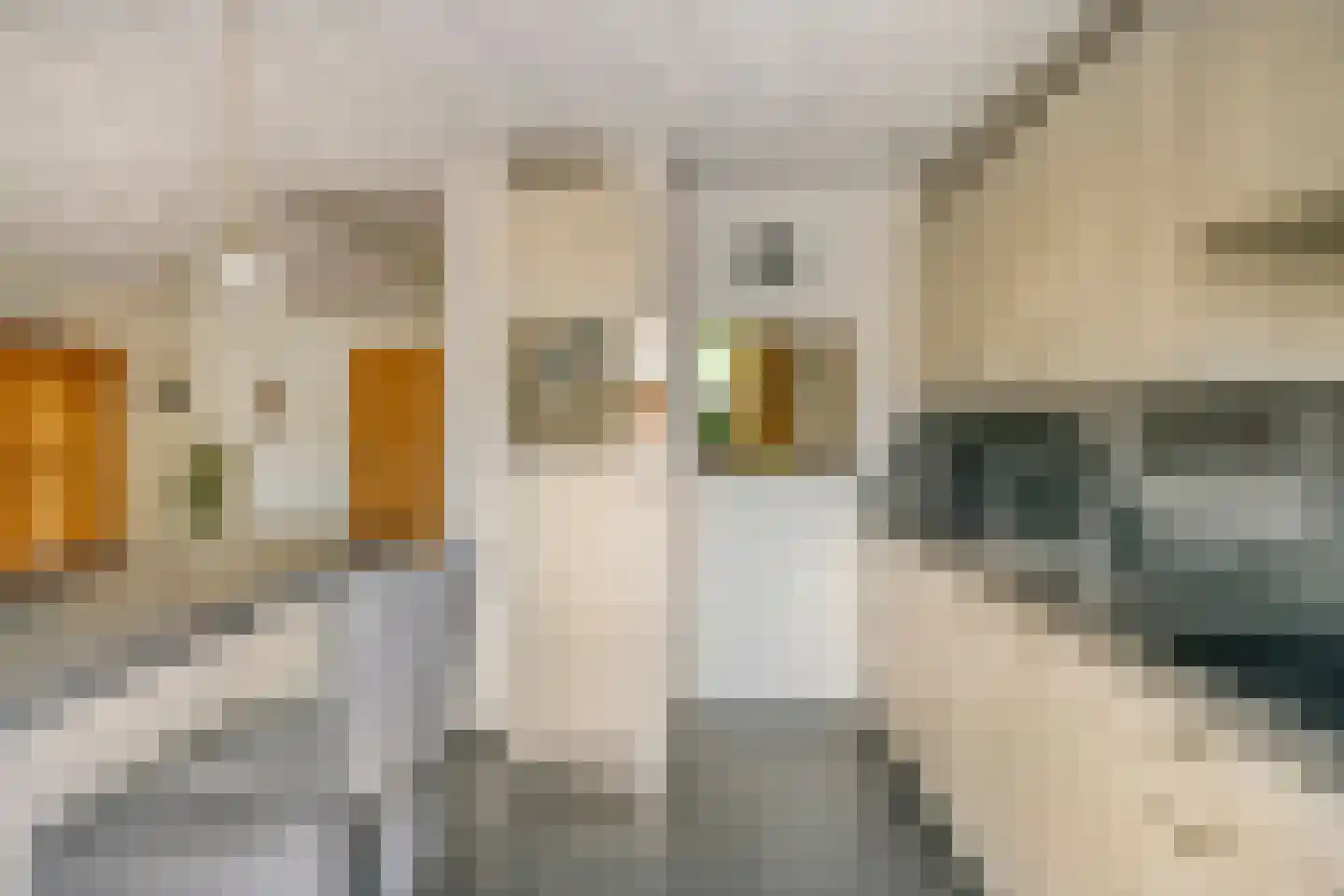 Mgr. Zwijsenstraat 78 Best thumbnail 11