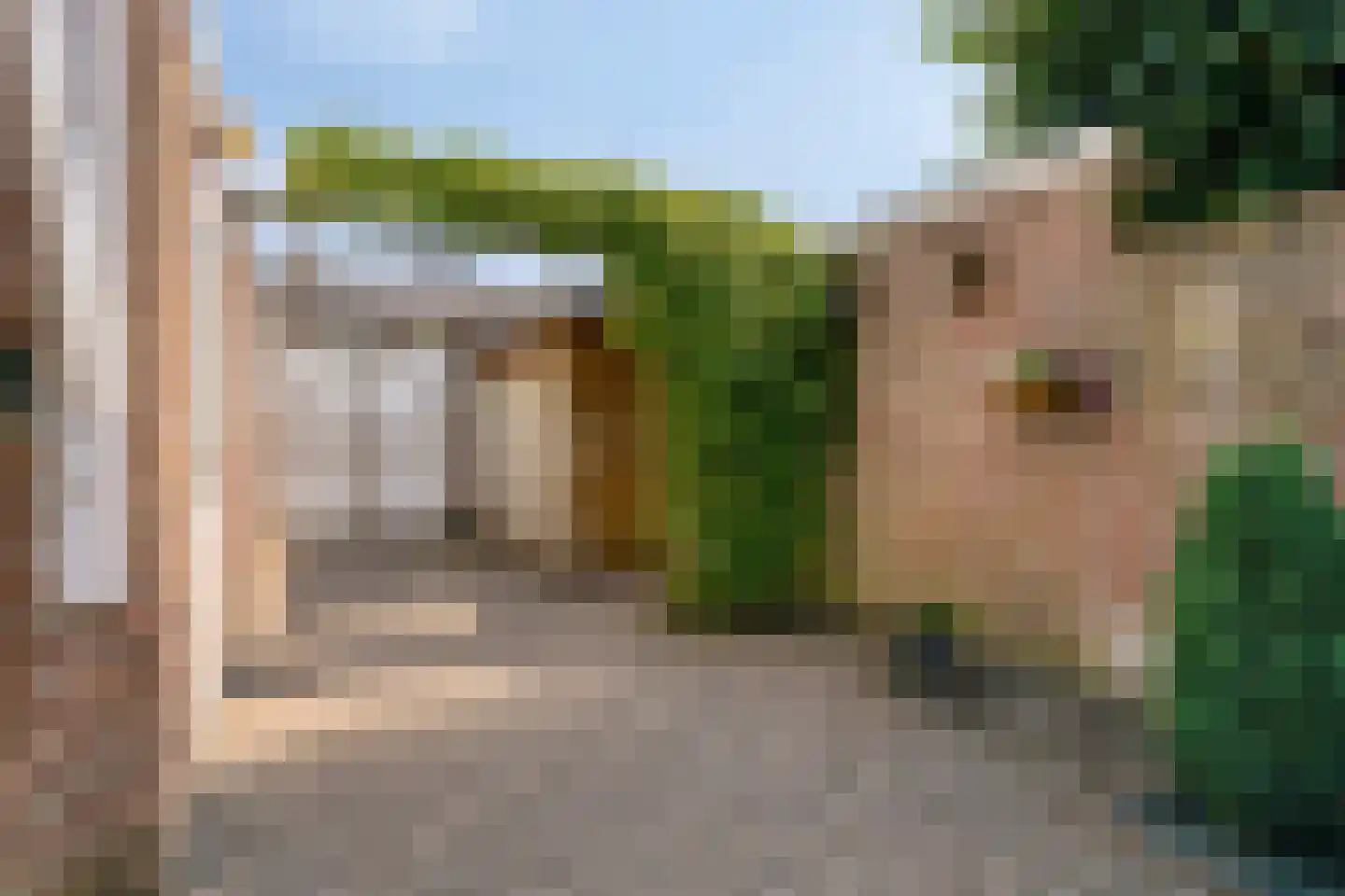 Mgr. Zwijsenstraat 78 Best thumbnail 28
