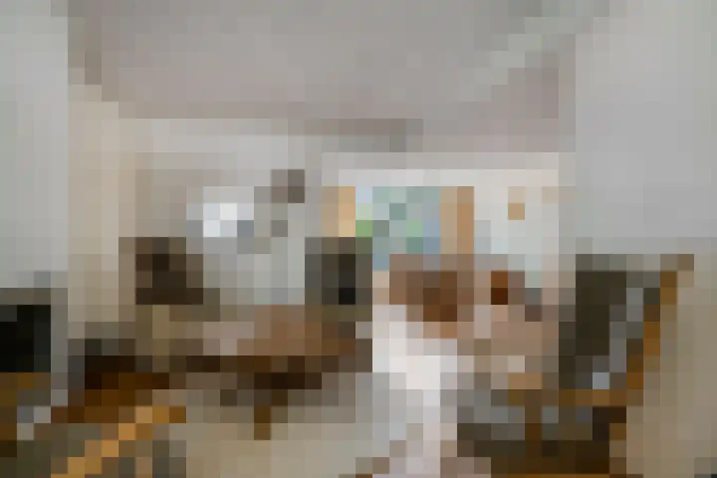 Mgr. Zwijsenstraat 78 Best thumbnail 8