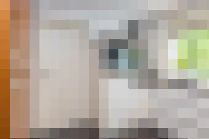Mheerderweg 18 Banholt thumbnail 14