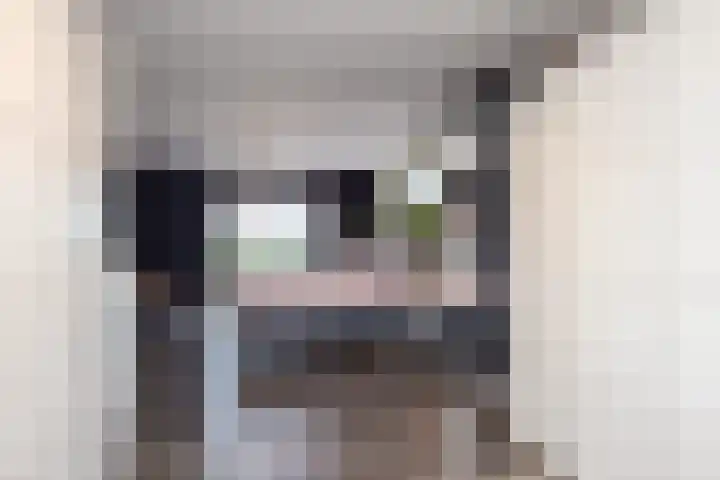 Mheerderweg 18 Banholt thumbnail 20
