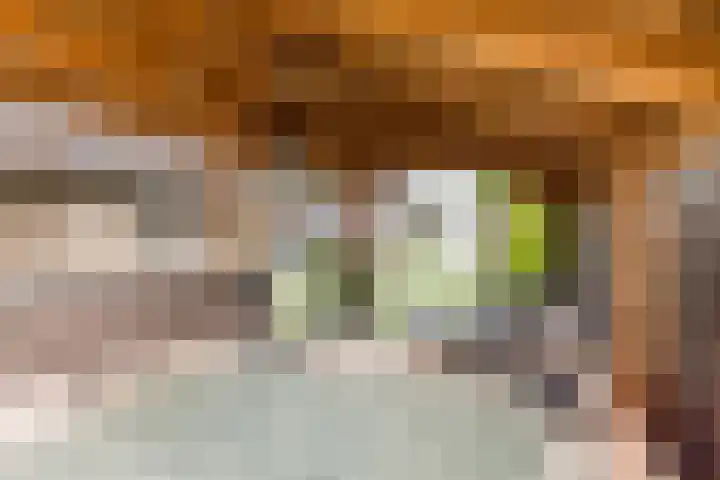 Mheerderweg 18 Banholt thumbnail 37