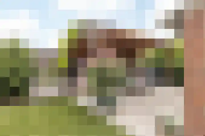 Mheerderweg 18 Banholt thumbnail 38